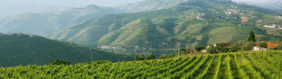 Vinho verde